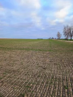 961 - zdjęcie nr 3