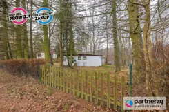 PAN352937 - zdjęcie nr 4