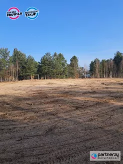 PAN333263 - zdjęcie nr 4