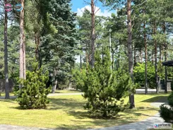 PAN254694 - zdjęcie nr 3