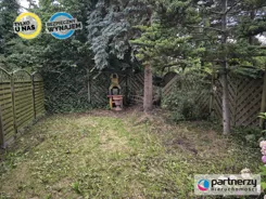 PAN842777 - zdjęcie nr 1