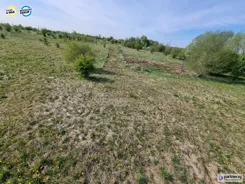 PAN478315 - zdjęcie nr 0