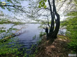 PAN656330 - zdjęcie nr 1