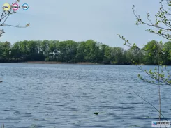 PAN262716 - zdjęcie nr 0