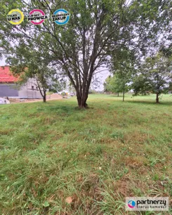 PAN394318 - zdjęcie nr 1