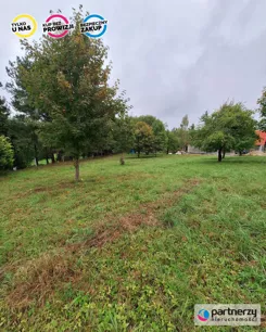 PAN394318 - zdjęcie nr 2