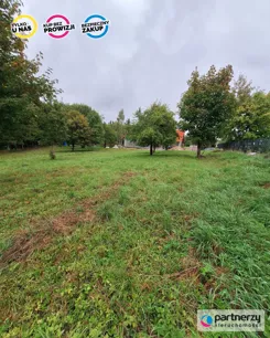 PAN394318 - zdjęcie nr 3