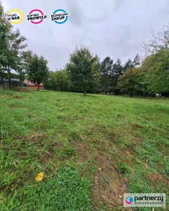 PAN394318 - zdjęcie nr 4