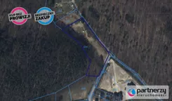 PAN312788408 - zdjęcie nr 4