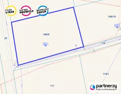 PAN797952 - zdjęcie nr 4