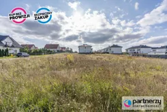 PAN728960 - zdjęcie nr 2