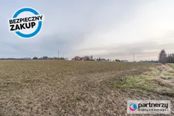 PAN955698 - zdjęcie nr 2