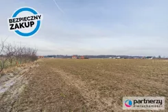 PAN955698 - zdjęcie nr 3