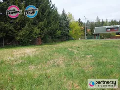 PAN539580 - zdjęcie nr 0