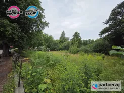 PAN626911 - zdjęcie nr 2