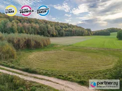 PAN442384 - zdjęcie nr 3
