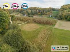 PAN442384 - zdjęcie nr 4
