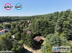 PAN225273 - zdjęcie nr 1