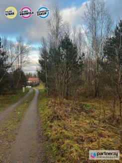 PAN449295 - zdjęcie nr 4