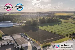 PAN349026 - zdjęcie nr 3