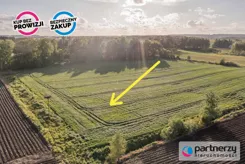 PAN704628 - zdjęcie nr 0
