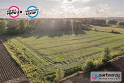PAN602667 - zdjęcie nr 2