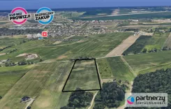 PAN964756 - zdjęcie nr 1