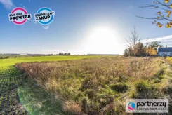 PAN488034 - zdjęcie nr 3