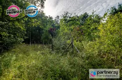 PAN279466 - zdjęcie nr 1