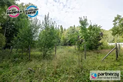 PAN279466 - zdjęcie nr 2