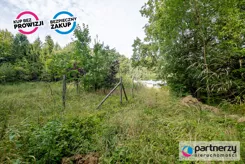PAN279466 - zdjęcie nr 3