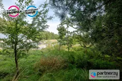 PAN279466 - zdjęcie nr 4