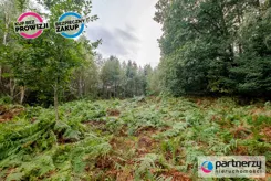 PAN637651 - zdjęcie nr 1