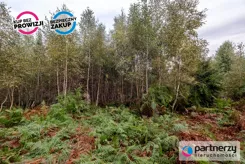 PAN637651 - zdjęcie nr 4
