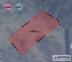 PAN258737 - zdjęcie nr 0