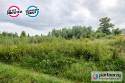 PAN258737 - zdjęcie nr 1