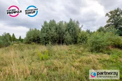 PAN258737 - zdjęcie nr 3