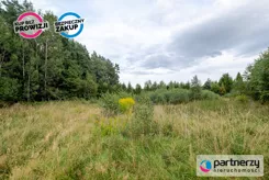 PAN258737 - zdjęcie nr 4