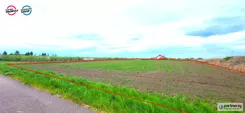 PAN523864 - zdjęcie nr 4