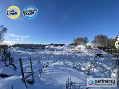 PAN181262 - zdjęcie nr 3