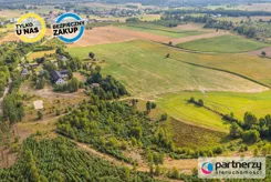 PAN461442 - zdjęcie nr 1