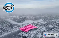 PAN256224 - zdjęcie nr 2