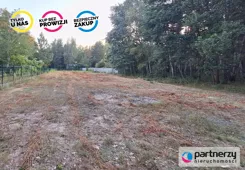 PAN936063 - zdjęcie nr 3