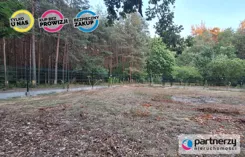 PAN936063 - zdjęcie nr 4