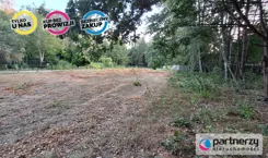 PAN936063 - zdjęcie nr 5
