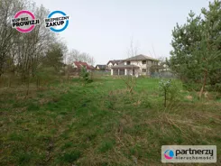 PAN557206 - zdjęcie nr 2