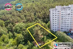 PAN942552 - zdjęcie nr 1