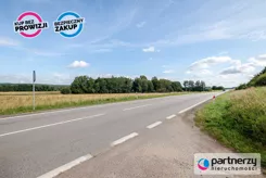 PAN981778 - zdjęcie nr 3