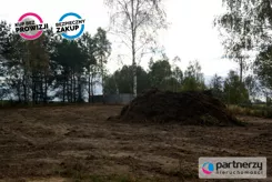 PAN965844 - zdjęcie nr 0