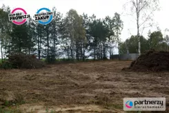 PAN965844 - zdjęcie nr 1